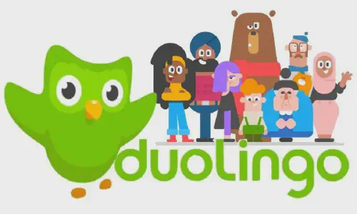 /img/posts/duolingo-platform.webp